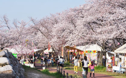 清洲城桜まつり